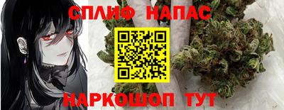 стаф Бузулук