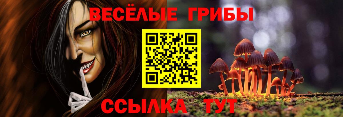 Прокопьевск  Галлюциногенные грибы Psilocybe  Вход с VPN  Галлюциногенные грибы мухоморы 
